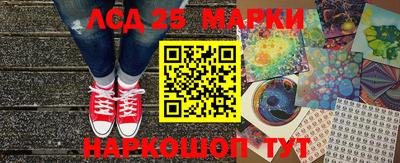 СК Кандалакша