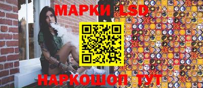 мдпв Камышлов