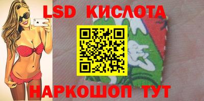 мдпв Камышлов