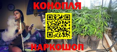 мяу мяу мука Канаш
