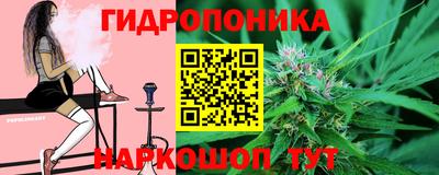 мдпв Камышлов