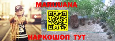 СК Кандалакша