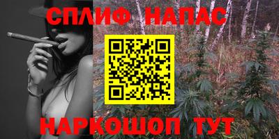 мдпв Камышлов