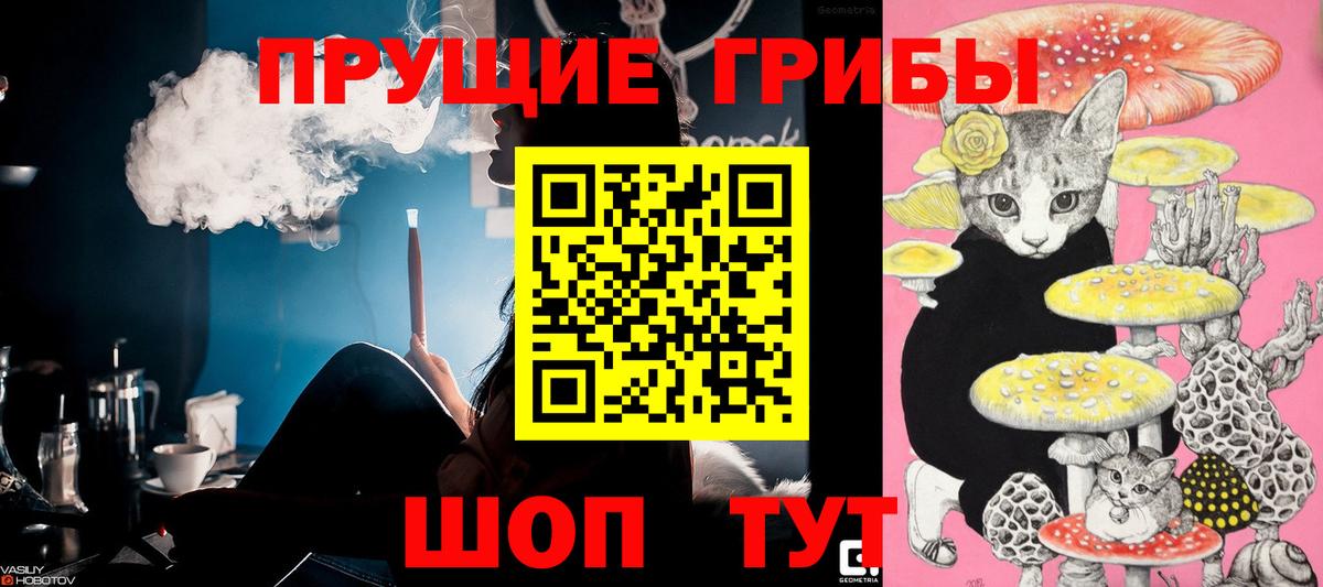 Псилоцибиновые грибы GOLDEN TEACHER Лесной