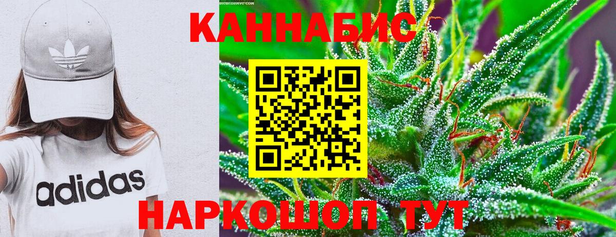 Каннабис индика Лесной